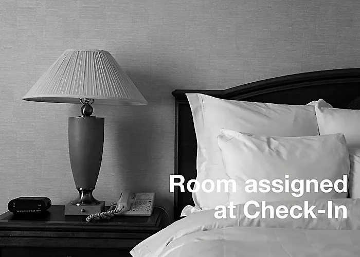 Hostel Downtown Beds